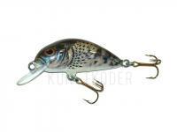 Wobbler Dorado Scout ST-4 Floating CG