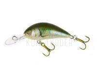 Wobbler Kenart Shark 4cm GG