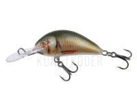 Wobbler Kenart Shark 4cm NRG