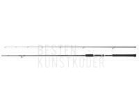 Rute Shimano Salty Advance Sea Bass Spinning 2.90m 8-45g