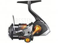 Rolle Shimano Soare BB A C2000SS PG