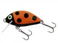 Wobbler Salmo Tiny IT3F - Ladybird