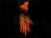 UV2 Coq De Leon Perdigon Fire Tail Feathers - #137 Fl Orange