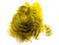 Federn Wapsi Grizzly Marabou - MG006 Yellow