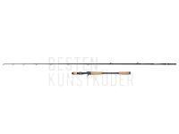 Rute Abu Garcia Beast Pro Cast 6511 Pelagic | 1+1sec | 1.95m | H | 50-120g