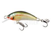 Wobbler Kenart Winner 2,5cm RTR