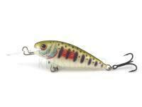 Dorado Invader I-4 Sinking DGR