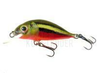 Wobbler Dorado Scout ST-4 Floating RBD