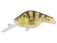 FishTank OMEGA 3.7 cm yellow & stripes