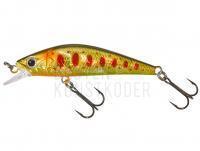 Wobbler Gunki Gamera 54 SHW | 54mm 4.5g - HL Brown Trout