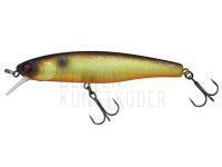 Wobbler Illex Arnaud 100 F | 10cm 16g - Muddy Roach