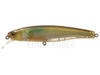 Wobbler Illex Arnaud 100 F | 10cm 16g - SG Ayu