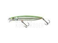 Wobbler Illex Hagre Minnow 96 F 96mm 12.2g - RT Visible Roach