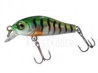 Wobbler Jenzi T-Rex Wobbler Minnow Trout 35SR 35mm 2g - C