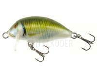 Wobbler Kenart Chubby 4cm 3.5g - GF