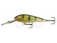 Wobbler Kenart Troll SDR 10cm 22g - PG