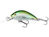 Wobbler Mikado Fishunter Cavalier 40mm 3.6g - Olive Bleak