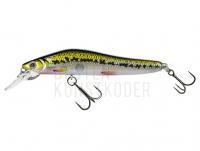 Wobbler Molix Jubar Smart 8.5cm 9g | 3.3/8 in 5/16 oz - 177 Vairon