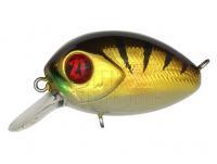 Wobbler Pontoon21 Baby Red Rag 32F SR | 32mm 4.8g - 307 Crash HG Gold Perch