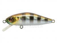 Wobbler Pontoon21 Crackjack 58SP MR - 007 Crash HG Gill