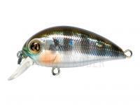 Wobbler Pontoon21 Hypnose 38F SR | 38mm 3.7g - 007 Crash HG Gill