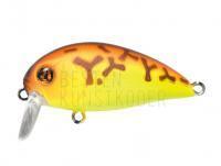 Wobbler Pontoon21 Hypnose 38F SSR | 38mm 3.8g - 075 Chartreuse Brown