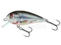 Wobbler Salmo Butcher BR5F | 5cm 5g - HRD (Holographic Real Dace)