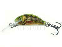 Salmo Hornet H3S  RIP