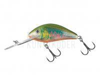 Wobbler Salmo Hornet H5F Holo Oikawa