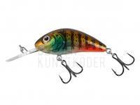 Wobbler Salmo Hornet Rattlin H3.5 - Hot Gill Clear