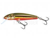 Wobbler Salmo Minnow M5S - Rainbow Dace