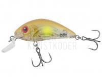 Wobbler Salmo Rattlin Hornet Shallow SR 4.5cm 5.5g - Clear Ayu (CAYU)