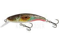 Wobbler Salmo Slick Stick 6cm - Supernatural Gobie
