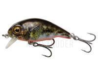Wobbler Savage Gear 3D Goby Crank SR 5cm 6.5g - UV Red and Black Fluo