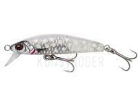 Meeresköder Savage Gear Gravity Minnow 6cm 12g Fast Sinking - Crystal White Glow
