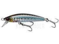 Meeresköder Savage Gear Gravity Minnow 6cm 12g Fast Sinking - Sardine Photo Print