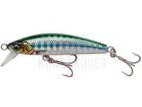 Meeresköder Savage Gear Gravity Minnow 6cm 12g Fast Sinking - Sayoris Photo Print