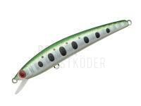 Wobbler Smith Panish Area 55R 5.5cm 2.3g - 10 Contrast