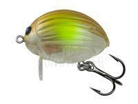 Wobbler Salmo Lil`Bug BG2F - Clear AYU