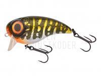 Wobbler Spro Fat Iris 40 SF | 4cm 5.3g - Northern Pike