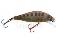 Wobbler Spro Ikiru Flat Jerk 50FS 5cm 4g - Season Varion