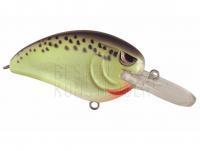 Wobbler Spro Little John MD 50 5cm 14g - Cell Mate