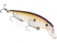 Wobbler Strike King KVD 300 Jerkbait 12cm 14.2g - TN Shad 2.0