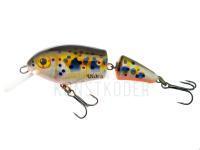 Wobbler Vidra Lures Perpetual Jointed | 6.50 cm 11 g F - RVT