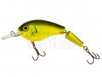 Wobbler Vidra Lures Nautilus DR Jointed | 8.50 cm 11 g F - FYB