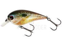 Wobbler Westin BassBite Squarebill BassBite 1.5 | 6cm 13g - Real Pumpkinseed