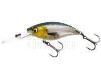 Wobbler Westin BuzzBite Crankbait 4cm 4g Low Floating - 3D Headlight