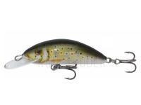 Wobbler Kenart Fox 7F | 7.5cm 12g -  TR