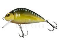 Wobbler Wob-Art Karp (Karpfen) 9cm 30g F SR - 18