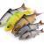 Savage Gear Gummifische 3D LB Roach Swim & Jerk BESTEN KUNSTKODER Angelshop